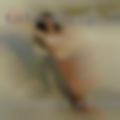 Swingers members escape